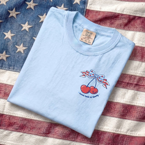 "Sweet Land of Liberty"-Tee Chambray